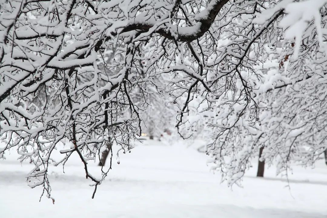 合肥心理咨询 | 从「讨厌下雪」开始，我意识到自己也变成了满身&ldquo;班味&rdquo;的成年人